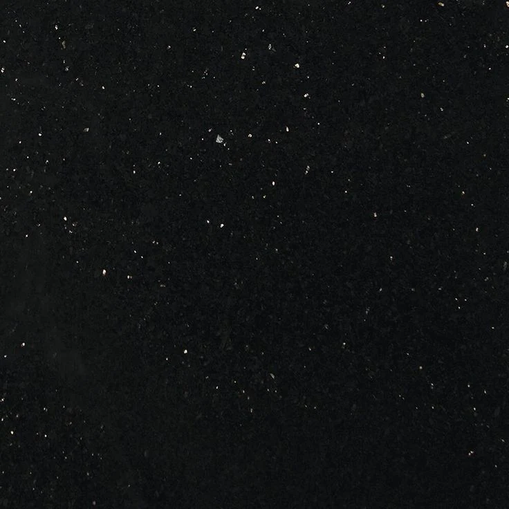 MS International Black Galaxy 18 x 18 Granite Floor and Wall Tile