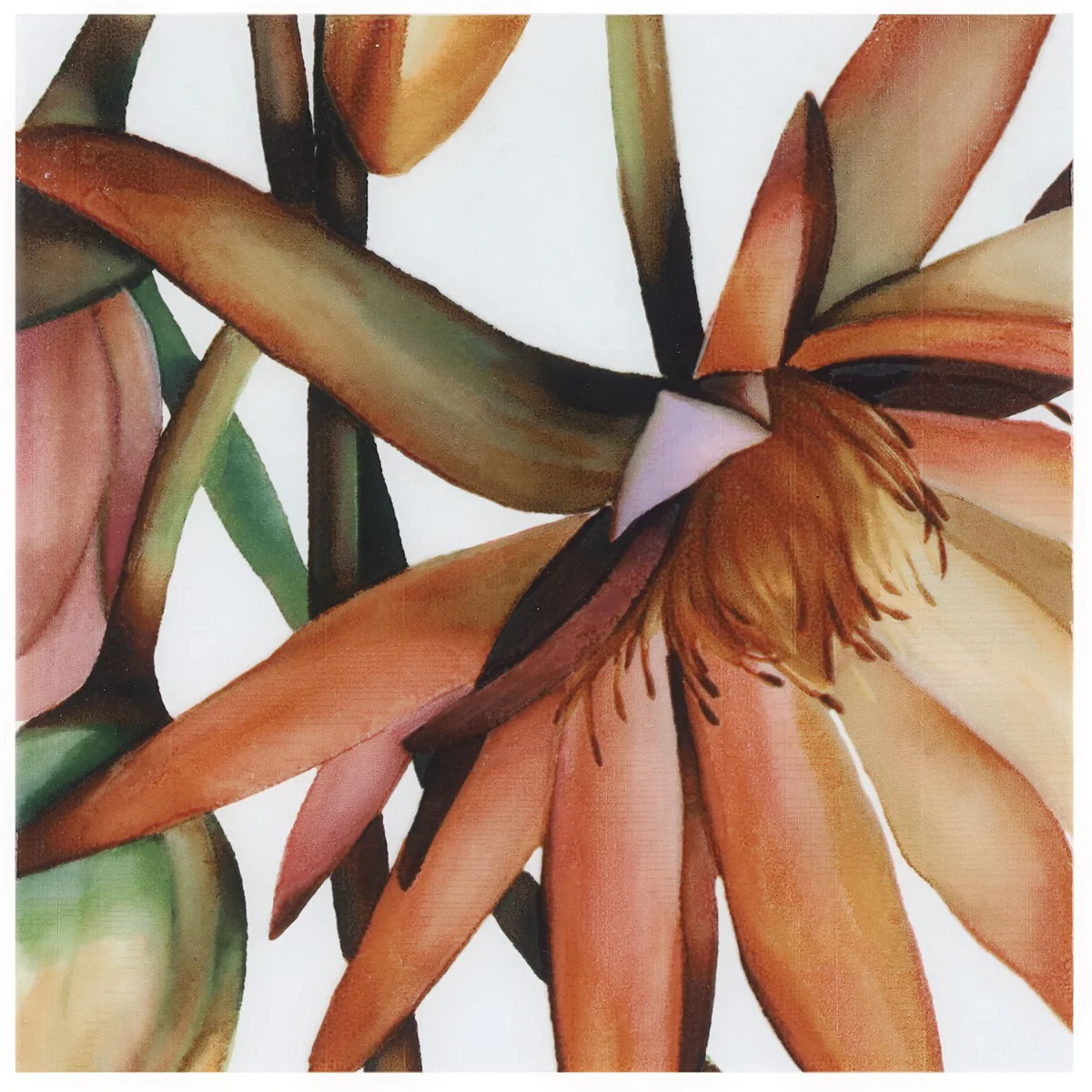 Angela Harris Wilder Tikida Decor 8x8 Matte Ceramic Tile - Botanical Design - Image 7