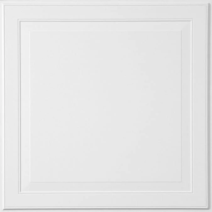 Armstrong Ceilings 2-ft x 2-ft Single Raised White Mineral Fiber Drop Ceiling Tile (6-Pack, 24-sq ft / Case)