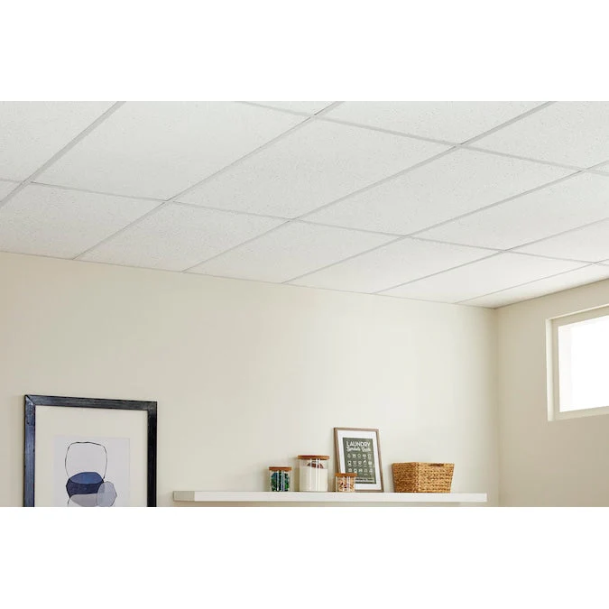 Armstrong Ceilings 4-ft x 2-ft Textured Contractor White Mineral Fiber Drop Ceiling Tile (10-Pack, 80-sq ft / Case) - Image 8