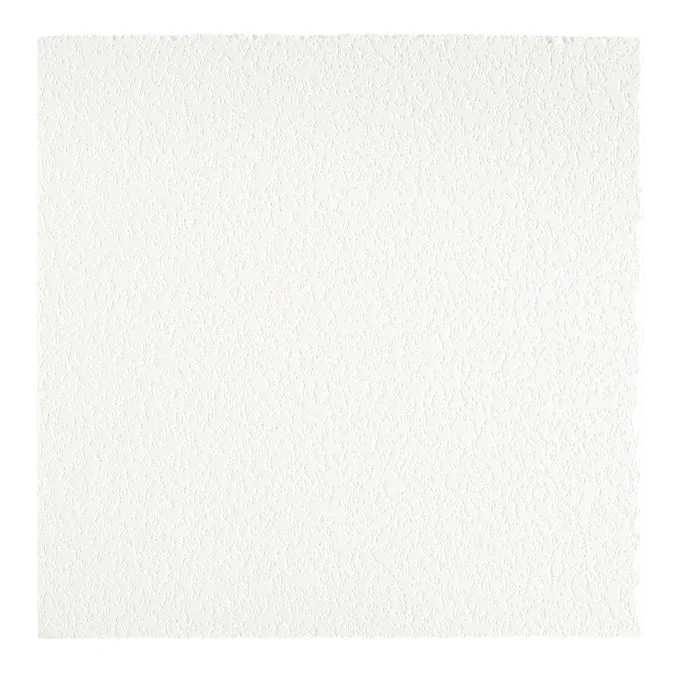 Armstrong Ceilings Easy Elegance White PVC Drop Ceiling Tile Sample - Image 2
