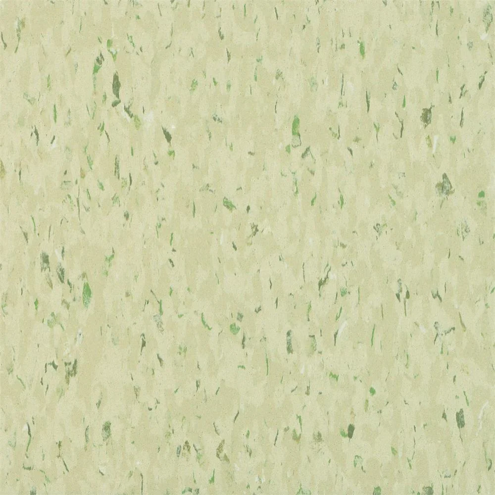 Armstrong Flooring MultiColor 45-Piece 12-in x 12-in Mint Masquerade Commercial VCT Tile