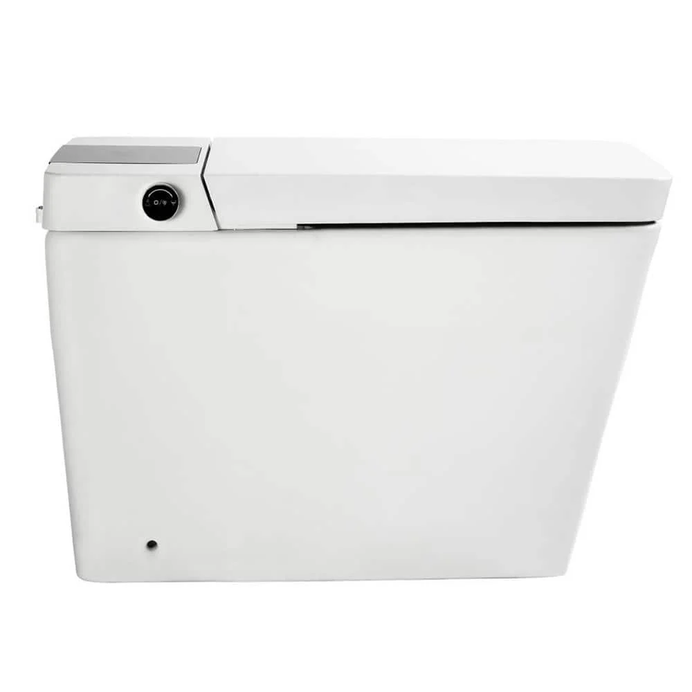 Boosicavelly Square Bidet Toilet with Heated, Deodorizing, Soft Close - FZUBTO4-W