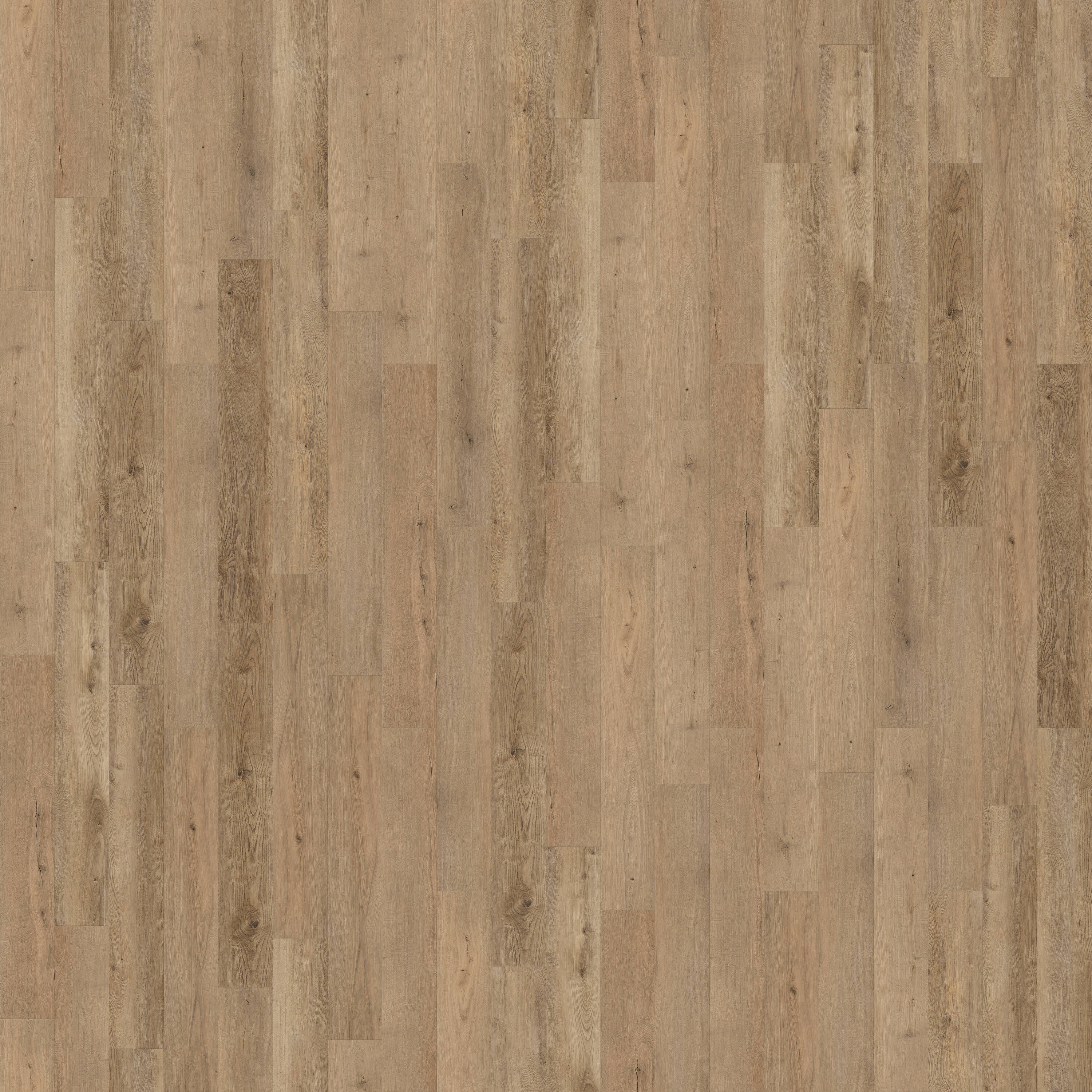 CALI Legends Oyster Isle Waterproof Vinyl Flooring Sample Pack - 20-mil Wear Layer - Image 5