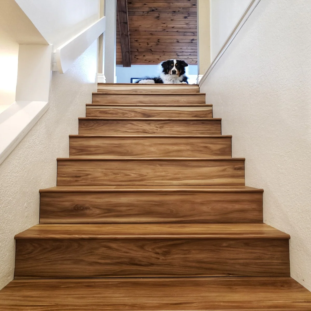 CALI Mute Step Coastal Eucalyptus 6.5-mm x 7-in W x 48-in L Water Resistant Luxury Vinyl Plank Flooring (24.03-sq ft/case) - Image 8