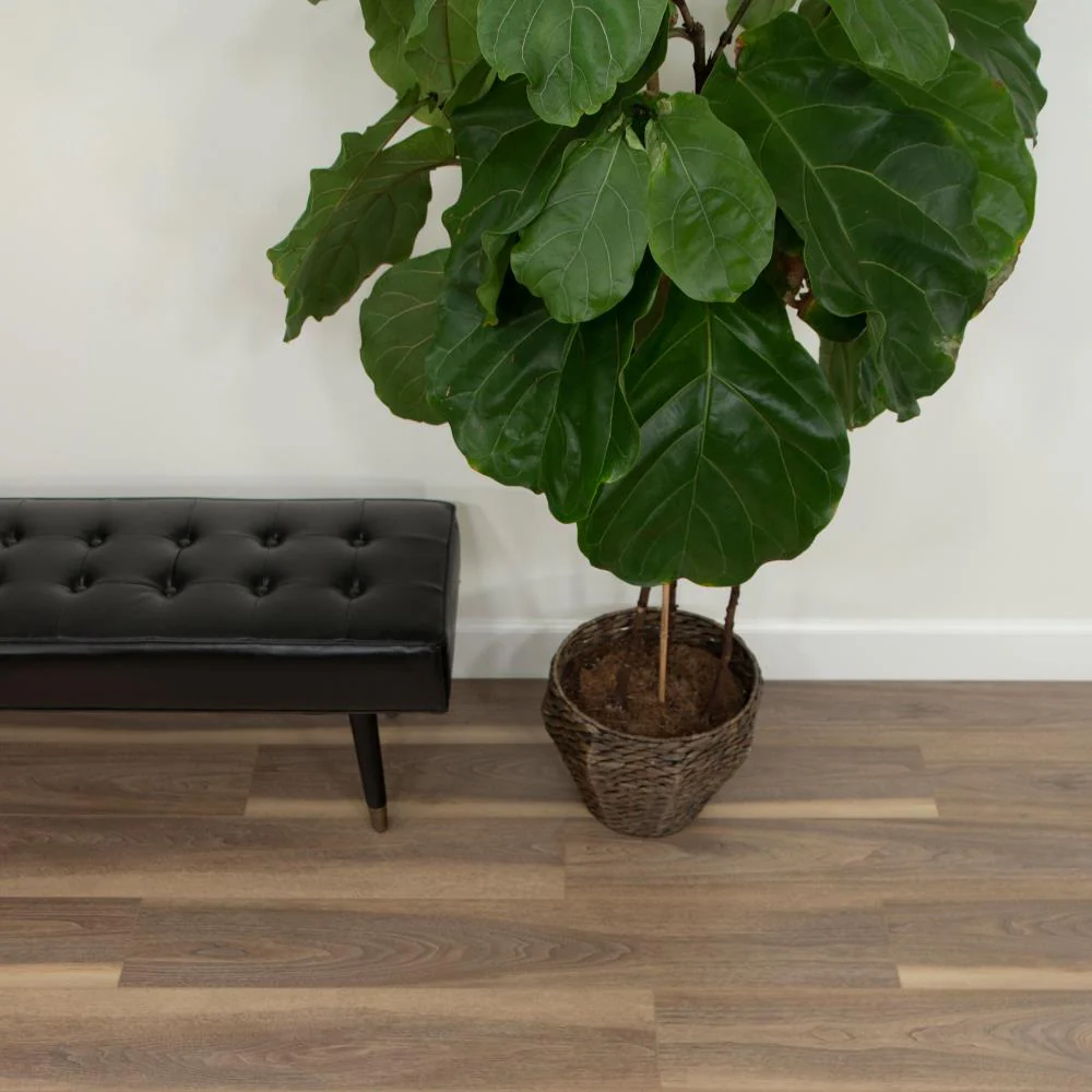 CALI Mute Step Palm Grove Oak 6.5-mm x 7-in W x 48-in L Waterproof Interlocking Luxury Vinyl Plank Flooring (24.03-sq ft/case) - Image 4