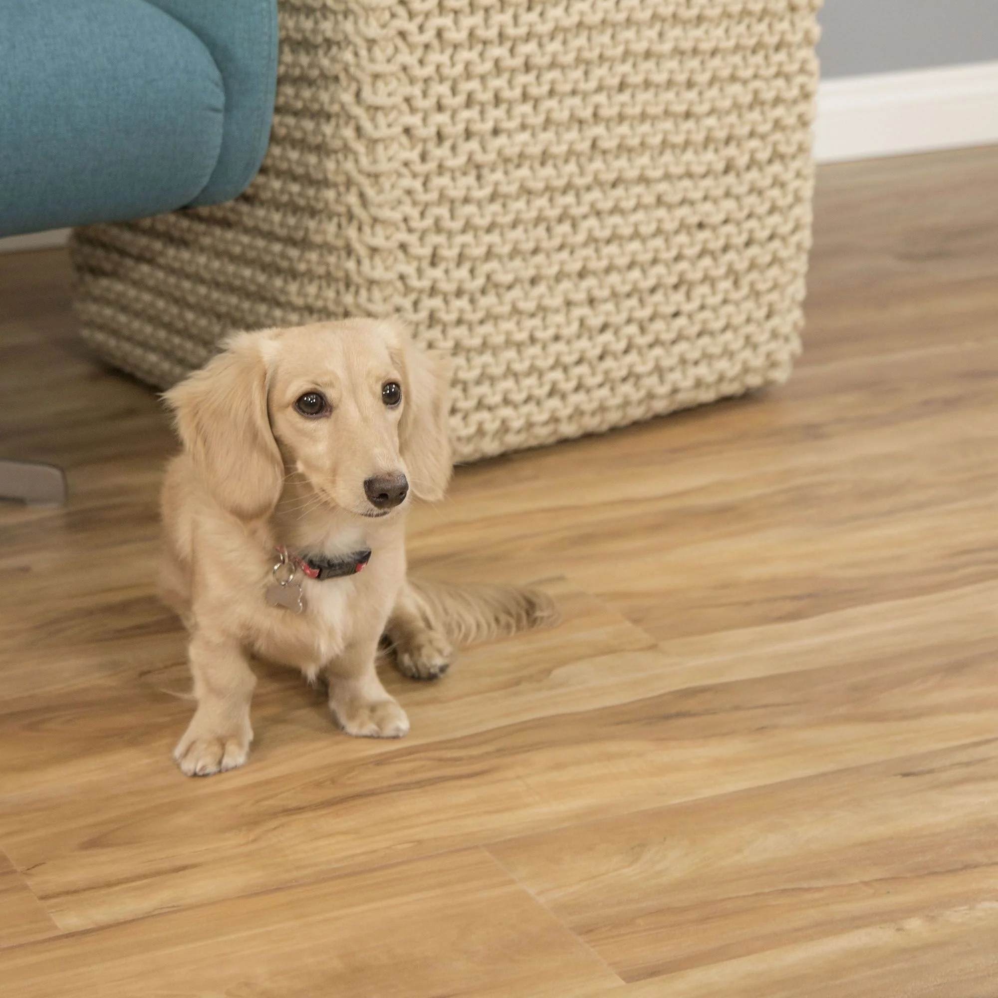 CALI Pro Classic Blonde Ale 5.5-mm x 7-in W x 48-in L Waterproof Interlocking Luxury Vinyl Plank Flooring (23.77-sq ft/case) - Image 7