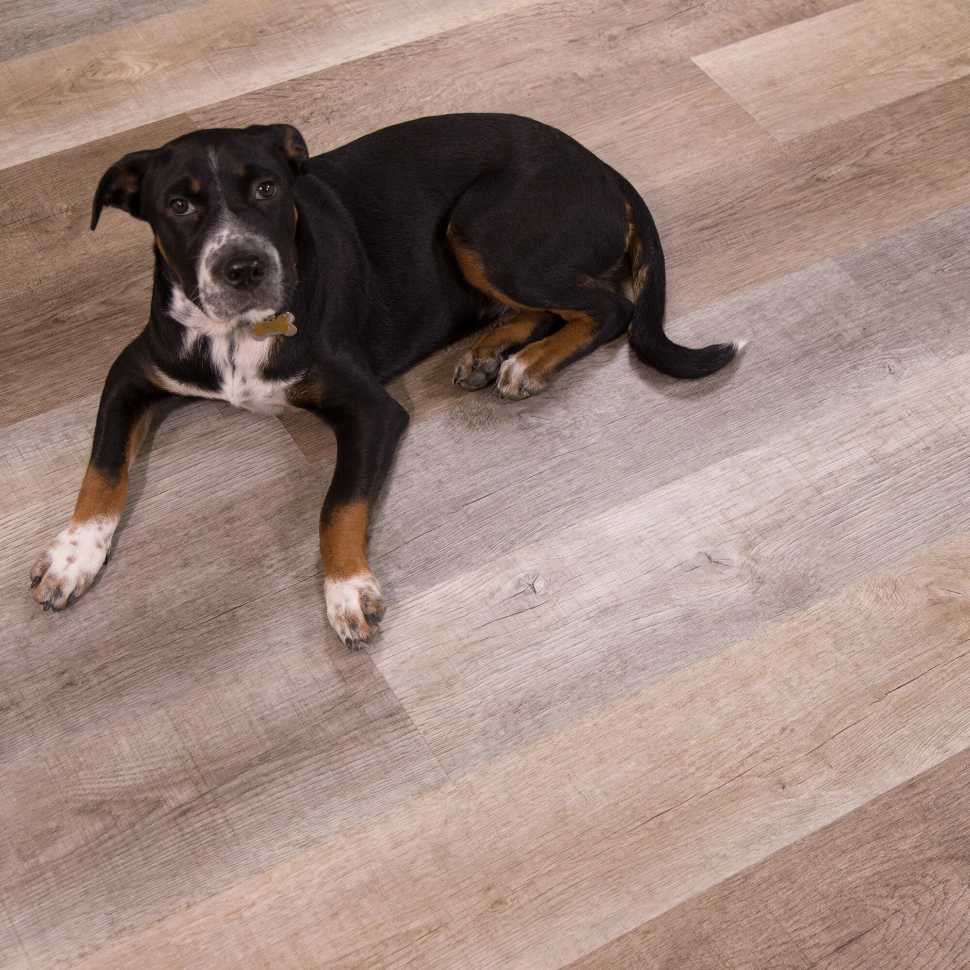 CALI Vinyl Pro Classic 10-Piece 7.12-in x 48-in Nantucket Harbor Luxury Vinyl Plank Flooring - Image 6