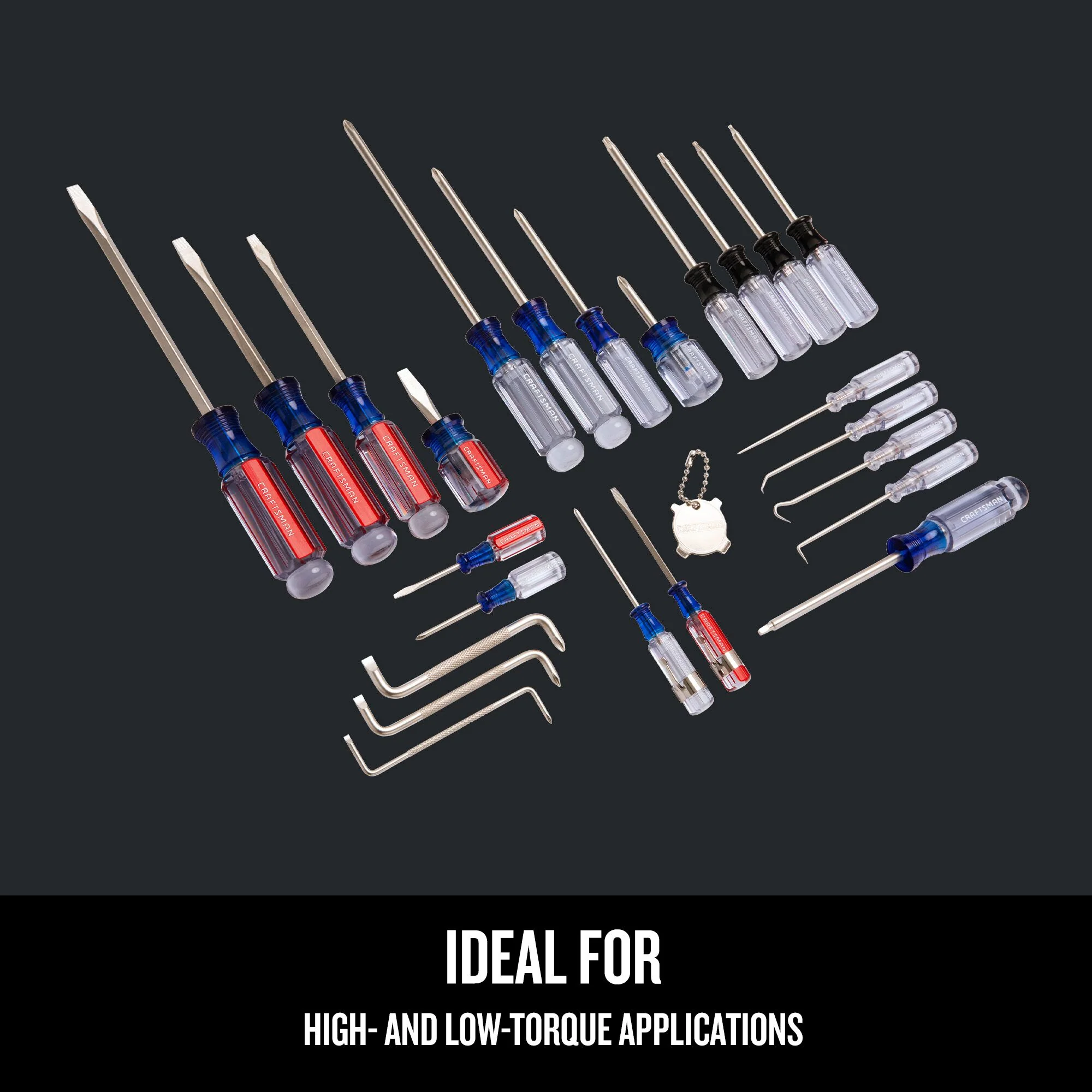 CRAFTSMAN 25-Piece Acetate Handle Screwdriver Set, Heat-Treated Alloy Steel, Satin-Nickel Finish - Image 5