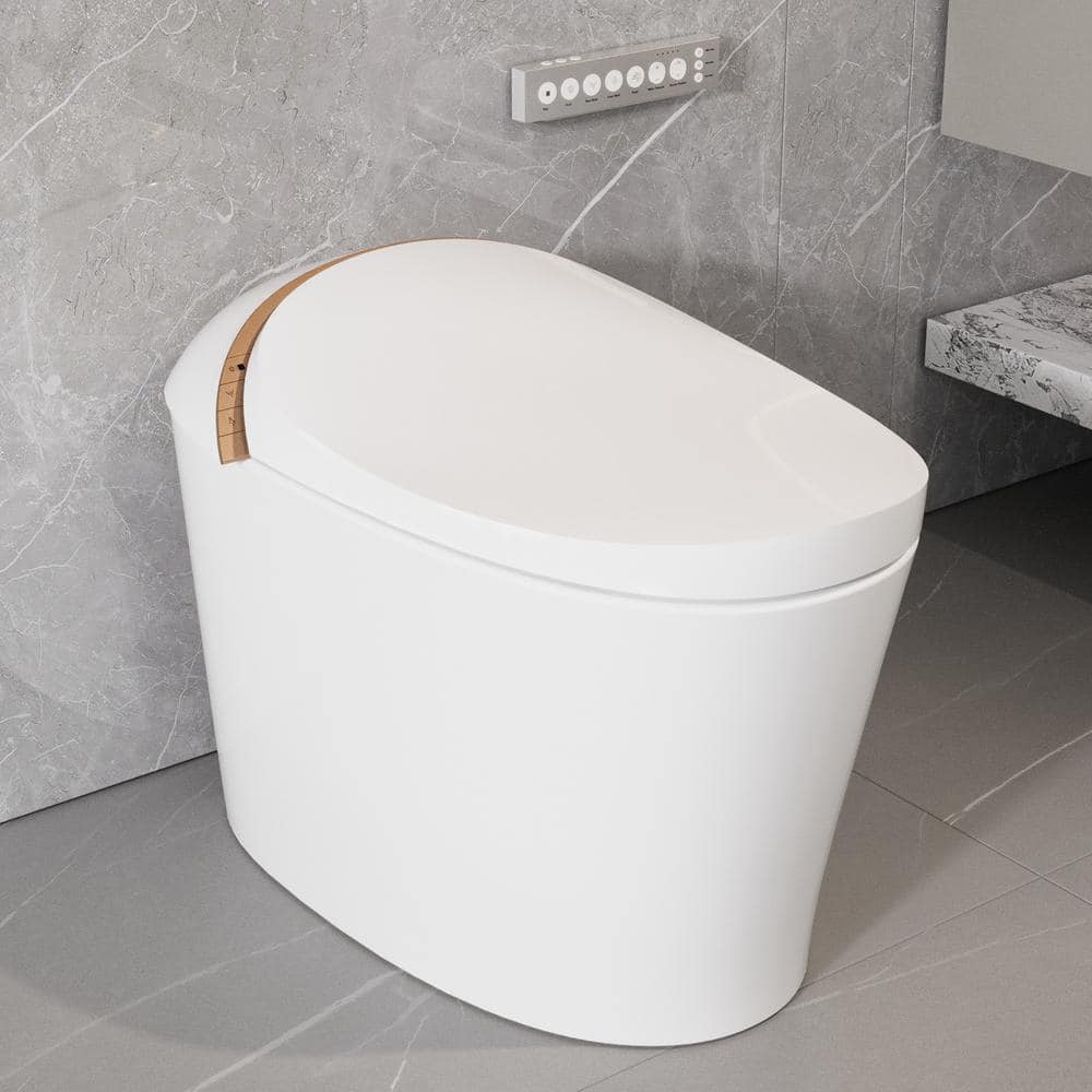 DEERVALLEY Tankless Smart Toilet Bidet with Auto Flush and Warm Water Dryer
