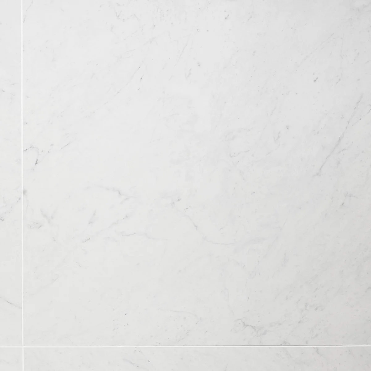 DreamStone Carrara Giola 24x24 Matte Porcelain Tile - Image 2