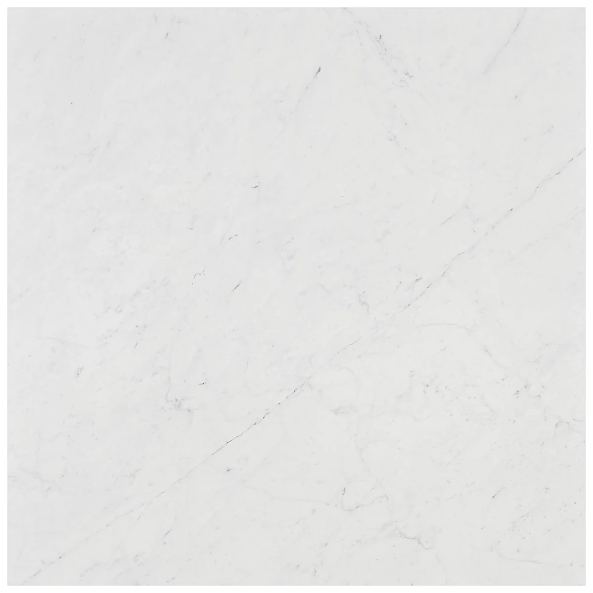 DreamStone Carrara Giola 24x24 Matte Porcelain Tile - Image 9
