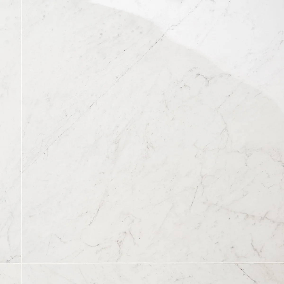DreamStone Carrara Giola 24x24 Polished Porcelain Tile - Image 3