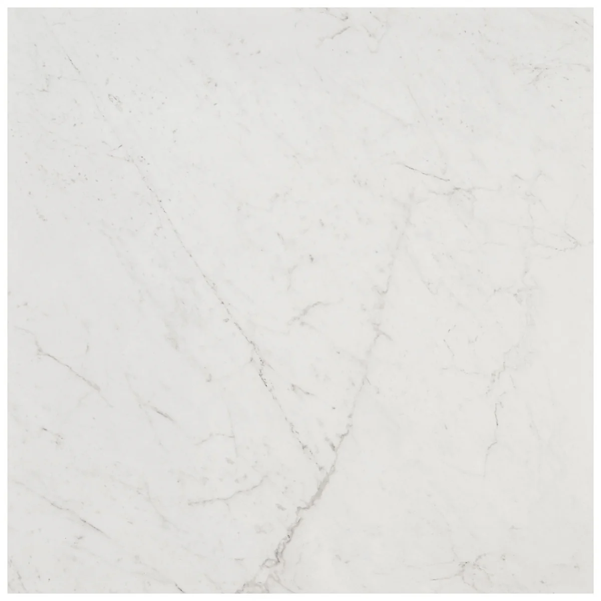 DreamStone Carrara Giola 24x24 Polished Porcelain Tile - Image 4