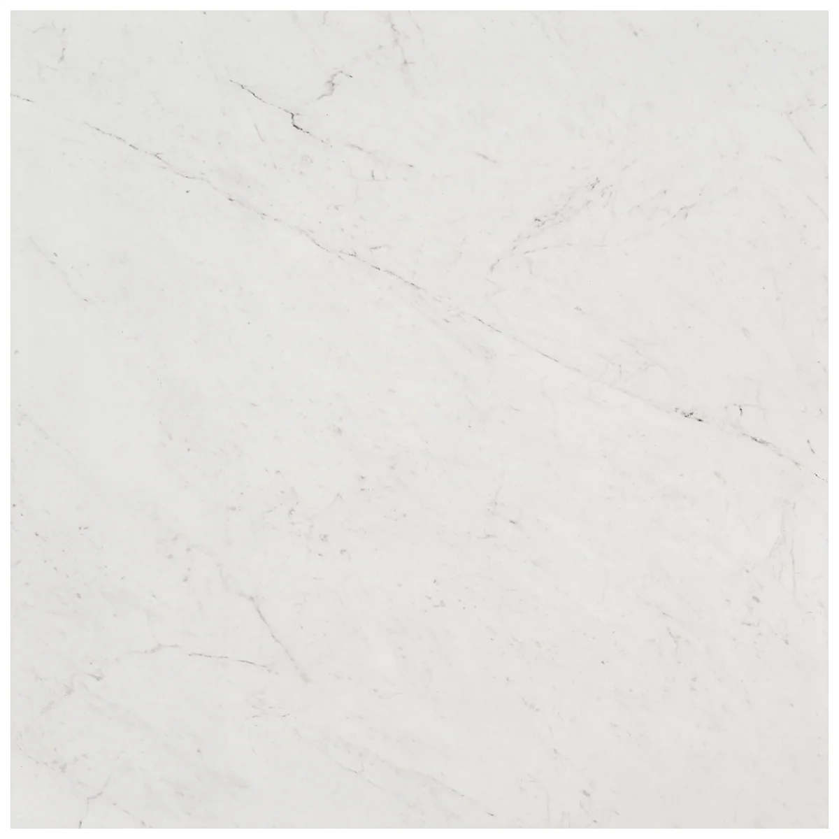 DreamStone Carrara Giola 24x24 Polished Porcelain Tile - Image 9