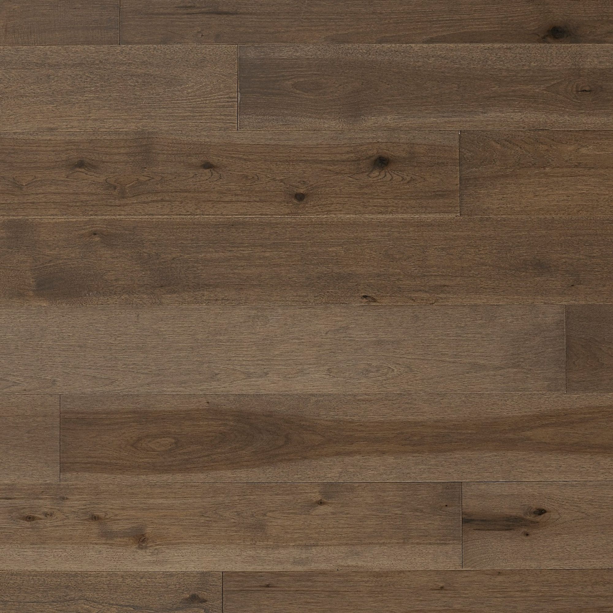 Element Flooring Sahara Lunar Surface Hickory 7-1/2-in W x 1/2-in T x 74-51/64-in Wirebrushed Engineered Hardwood Flooring (31.09-sq ft / Carton)