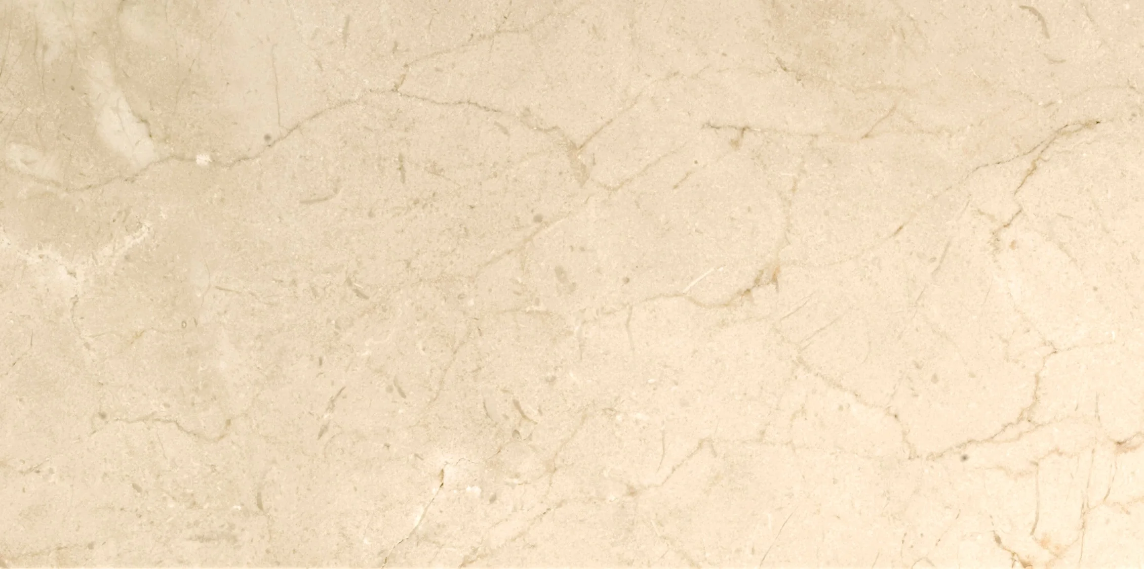 Emser Marble Crema Marfil Plus 12-in x 24-in Polished Natural Stone Floor and Wall Tile - Image 5
