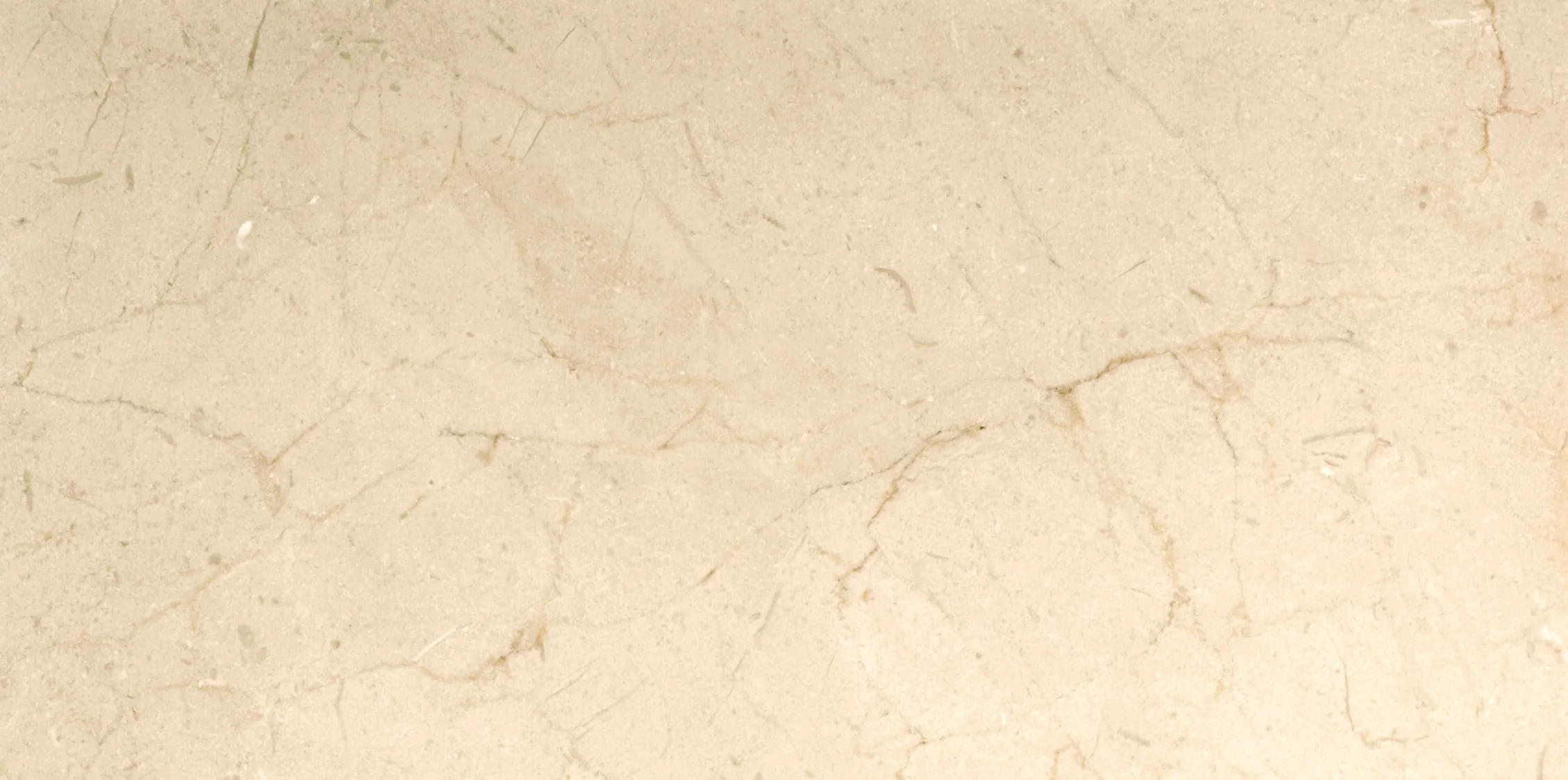 Emser Marble Crema Marfil Plus 12-in x 24-in Polished Natural Stone Floor and Wall Tile - Image 6