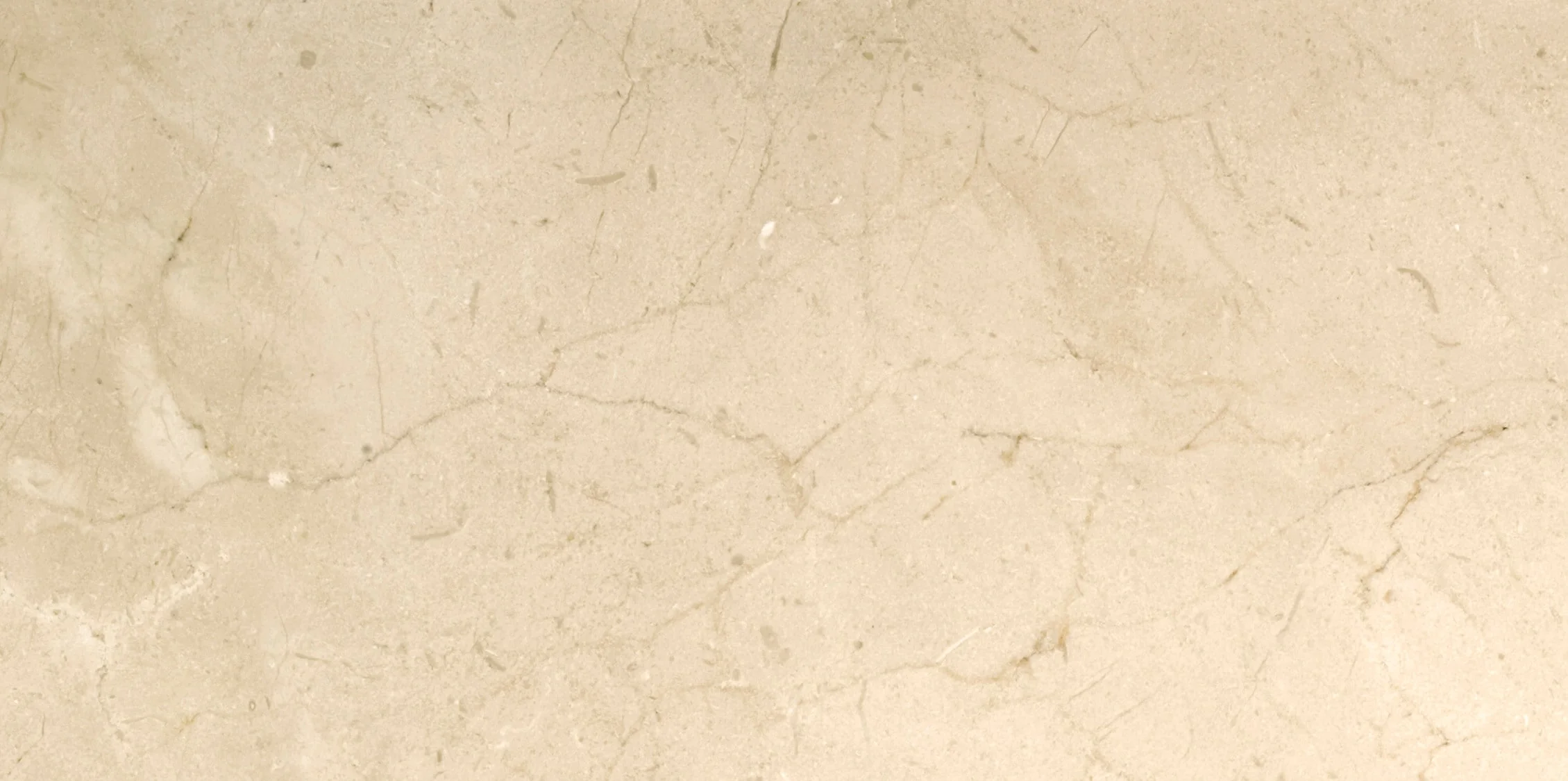 Emser Marble Crema Marfil Plus 12-in x 24-in Polished Natural Stone Floor and Wall Tile - Image 7