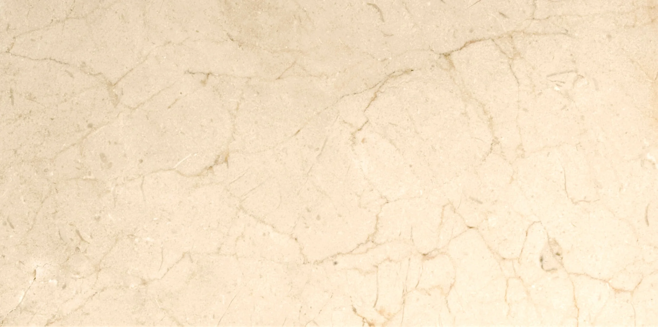Emser Marble Crema Marfil Plus 12-in x 24-in Polished Natural Stone Floor and Wall Tile - Image 8