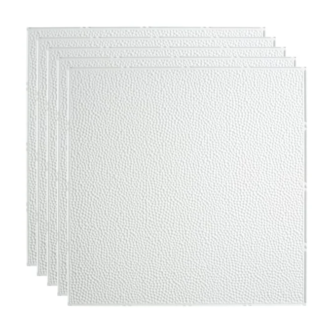 Fasade 2-ft x 2-ft Border Fill Matte White PVC Drop Ceiling Tile (5-Pack, 20-sq ft / Case)