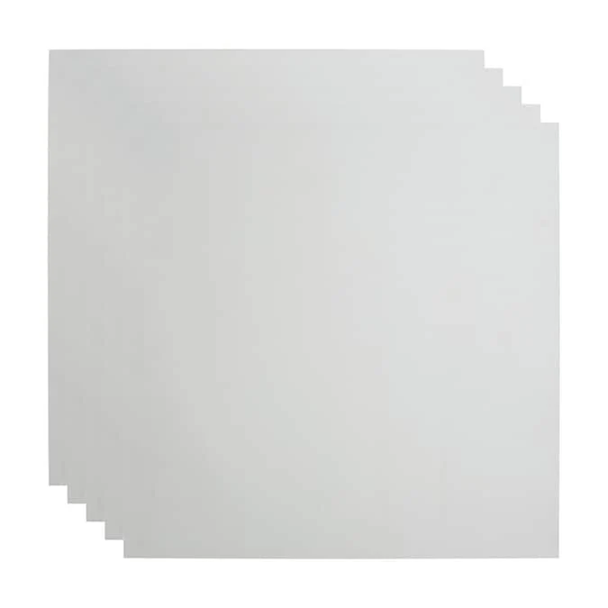 Fasade 2-ft x 2-ft Flat Panel Gloss White PVC Drop Ceiling Tile (5-Pack, 20-sq ft / Case)