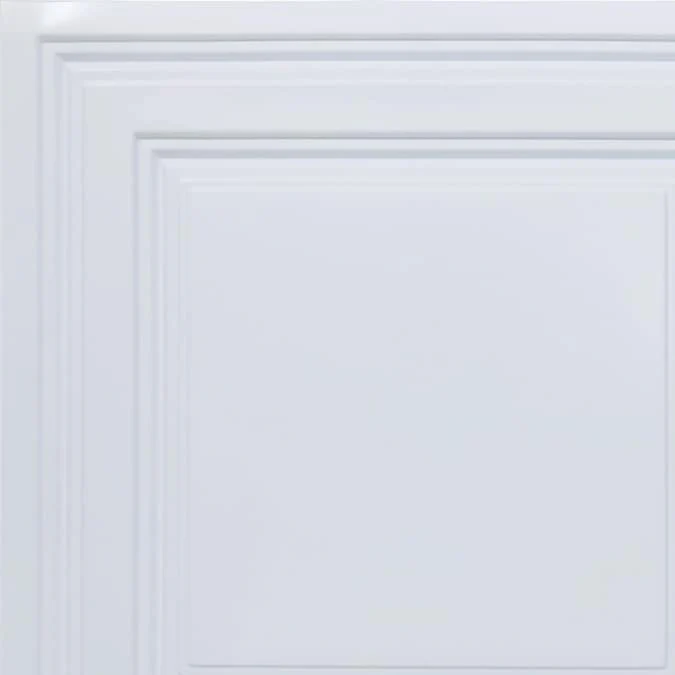 From Plain to Beautiful in Hours 2-ft x 2-ft Economy White PVC Drop Ceiling Tile (10-Pack, 40-sq ft / Case) - Image 2