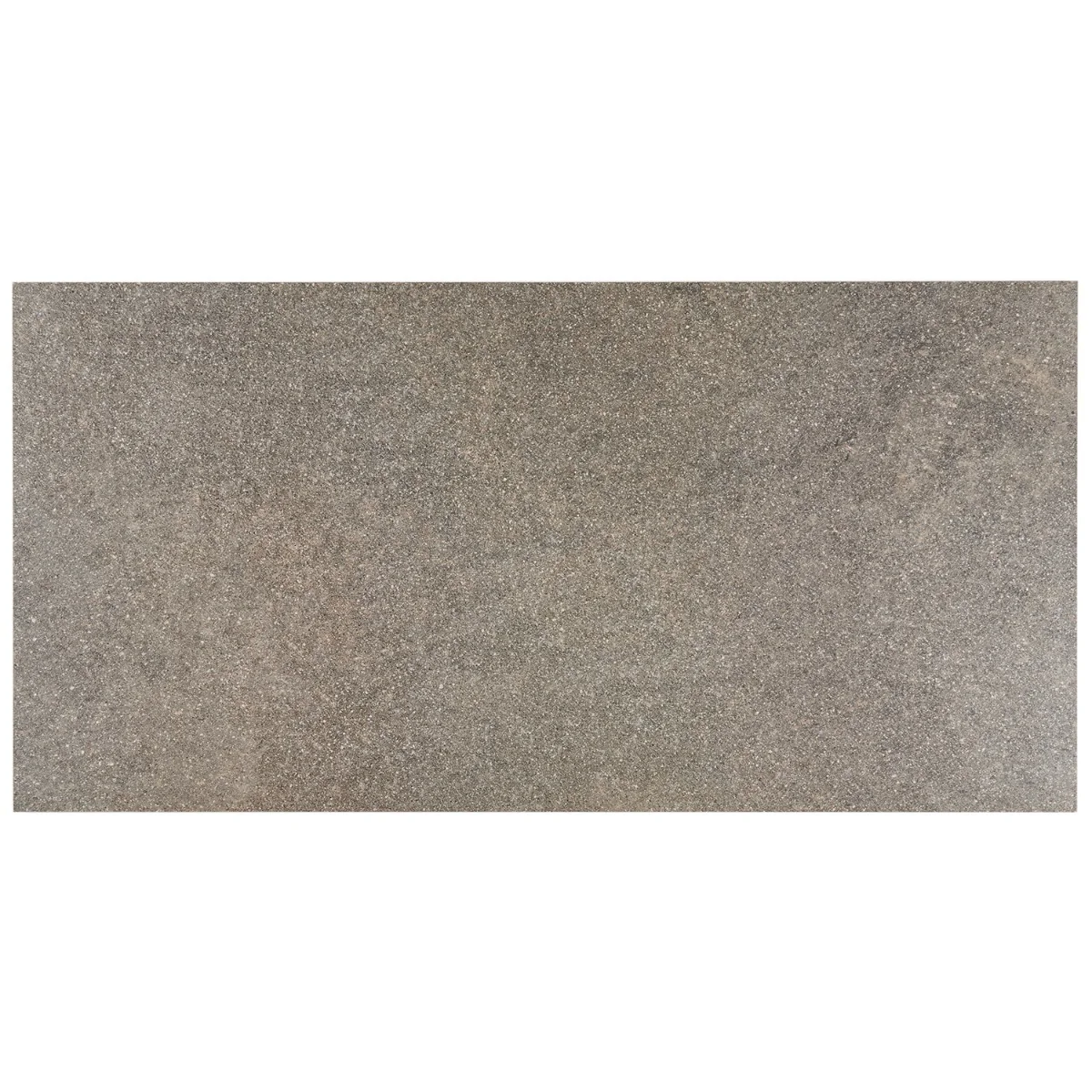 FusionTech Berlin Brown 24x48 Matte Porcelain Tile - Lux Tile - Image 2