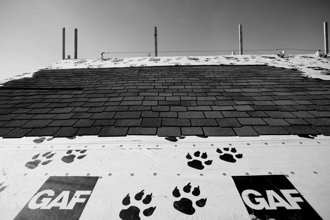 GAF TigerPaw 48-in x 250-ft Polypropylene Roof Underlayment - Image 5