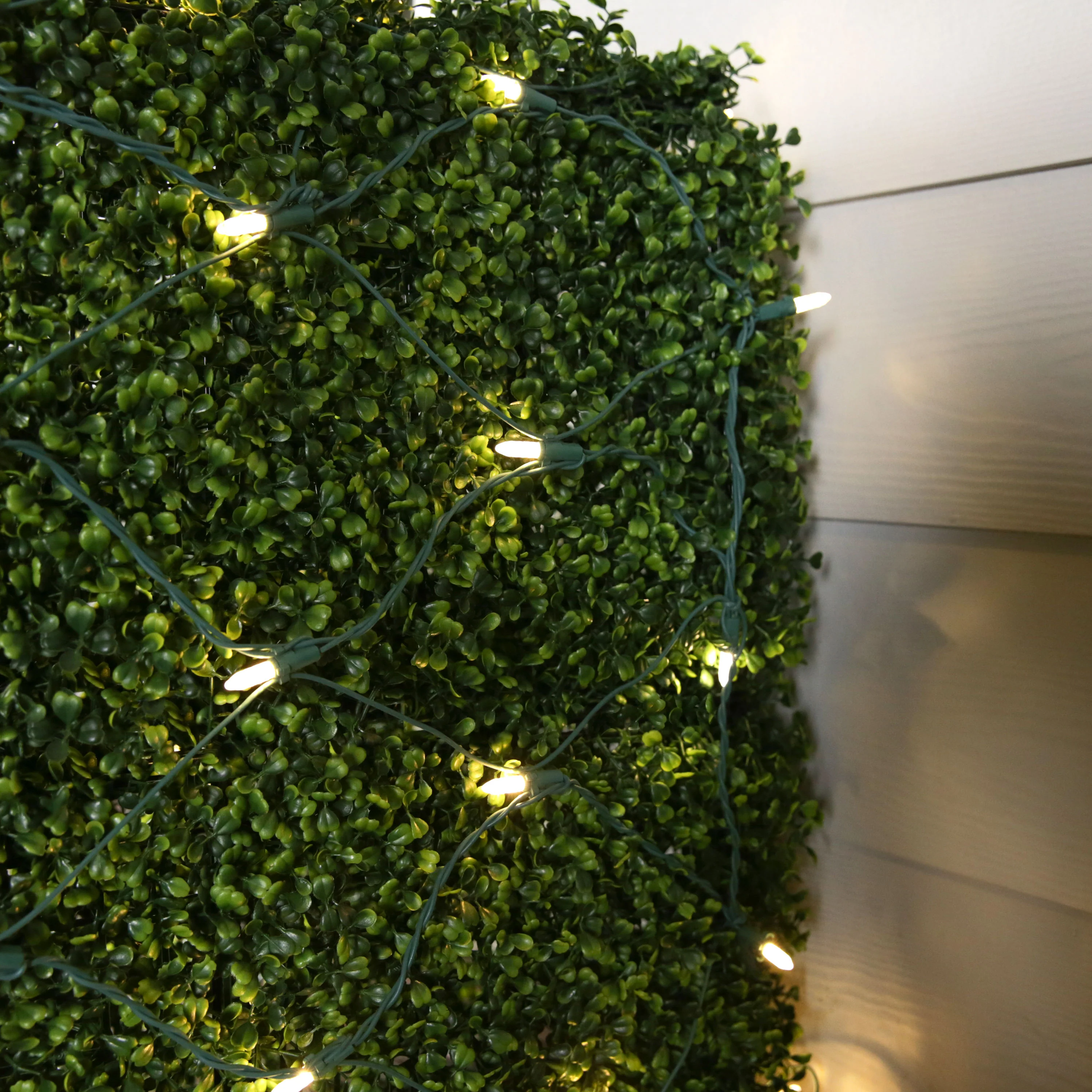 GE StayBright 5-ft x 4-ft Sparkling (Random) White LED 100-Count Mini Plug-In Christmas Net Lights - Image 3