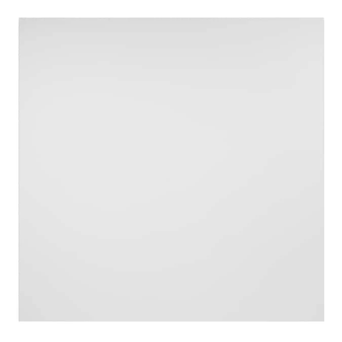 Genesis 2-ft x 2-ft Border Fill White PVC Drop Ceiling Tile (1-Pack, 4-sq ft / Case)