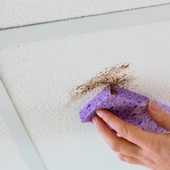 Genesis 2-ft x 2-ft Stucco Pro White PVC Drop Ceiling Tile (1-Pack, 4-sq ft / Case) - Image 10