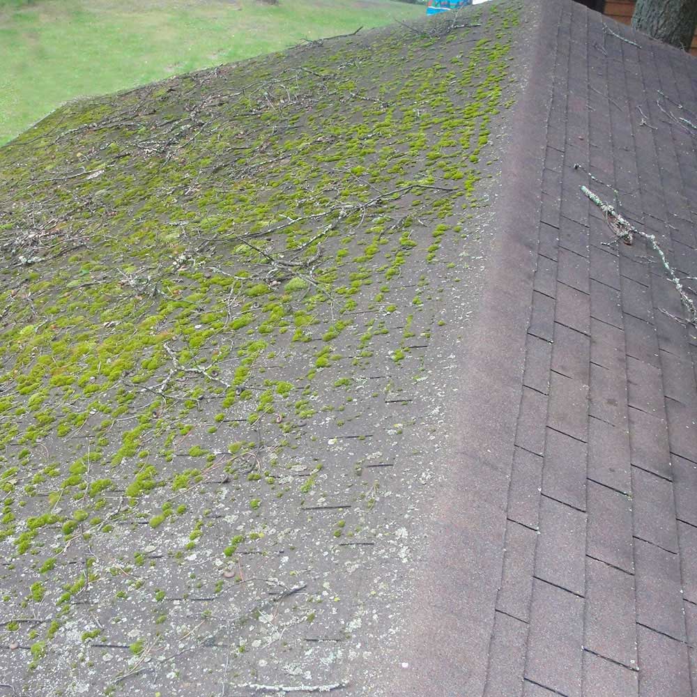 Gibraltar Building Products Z-Stop Moss Control Zinc Roll, 2.5 in x 50 ft, Silver - Image 3