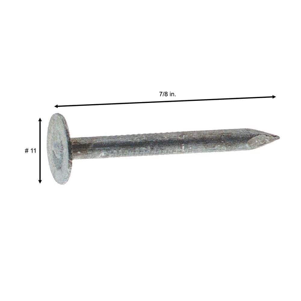 Grip-Rite 7/8 in. x 11-Gauge Electro-Galvanized Roofing Nails (5 lb. Box) - Image 2