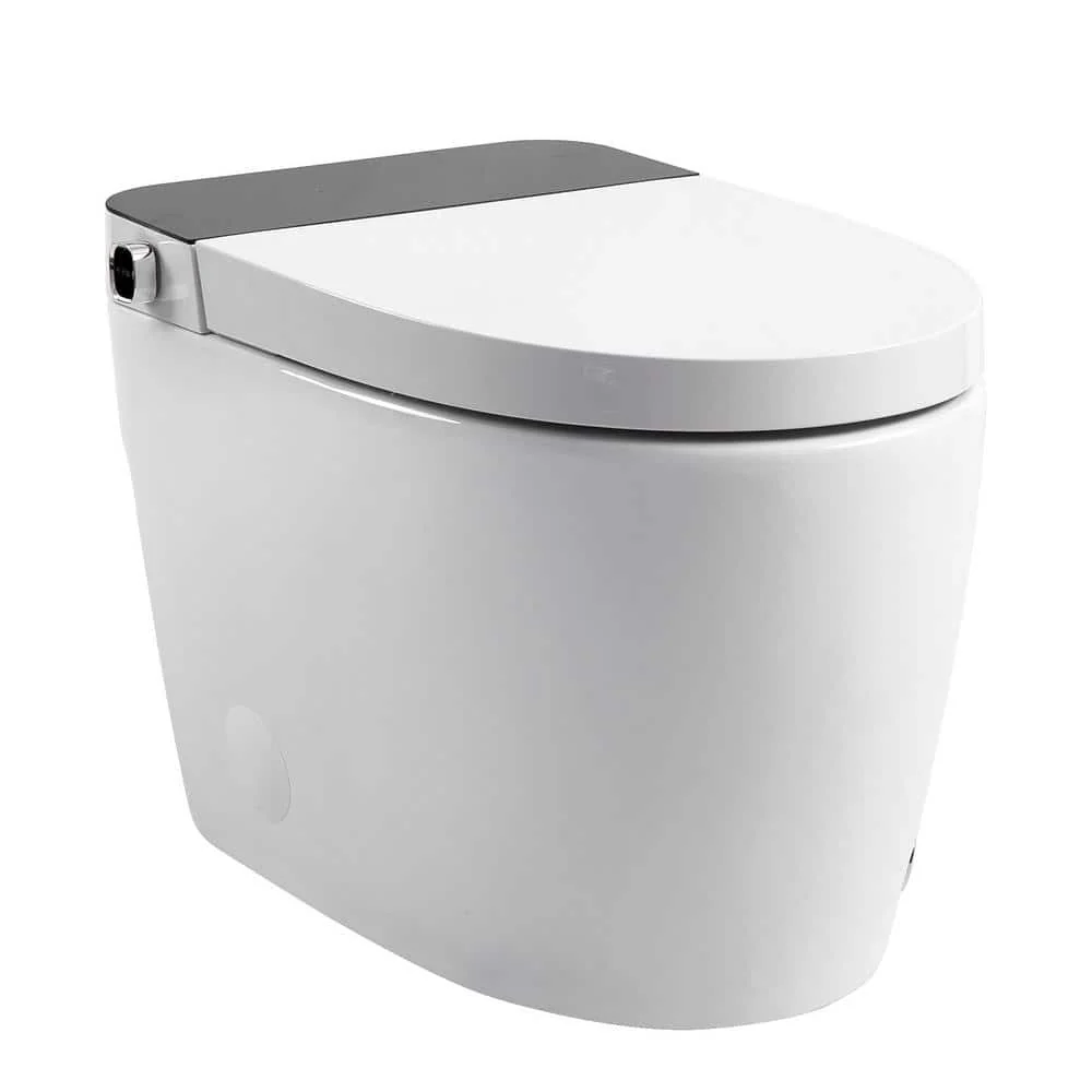 HOMEMYSTIQUE Comfort Height Intelligent 1-Piece Toilet with Auto Features