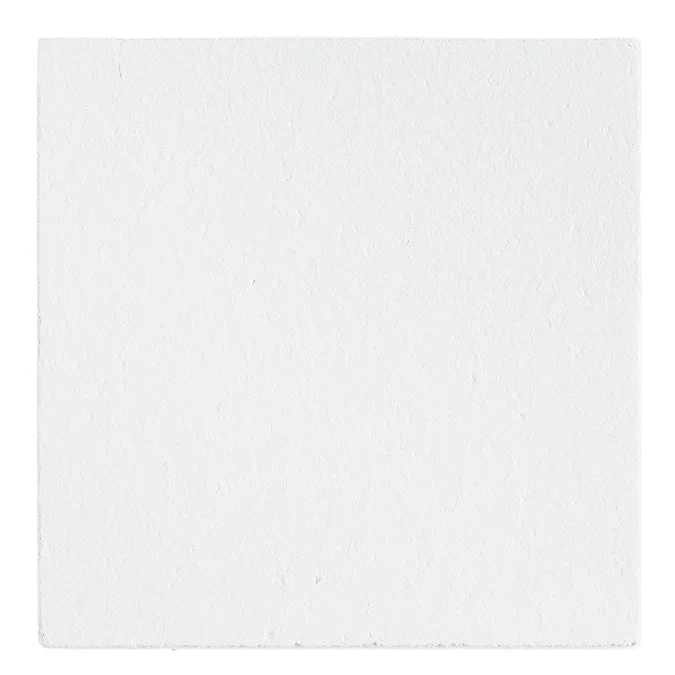 Lowe's Armstrong Ceilings Plain White Mineral Fiber Drop Ceiling Tile Sample - Image 2
