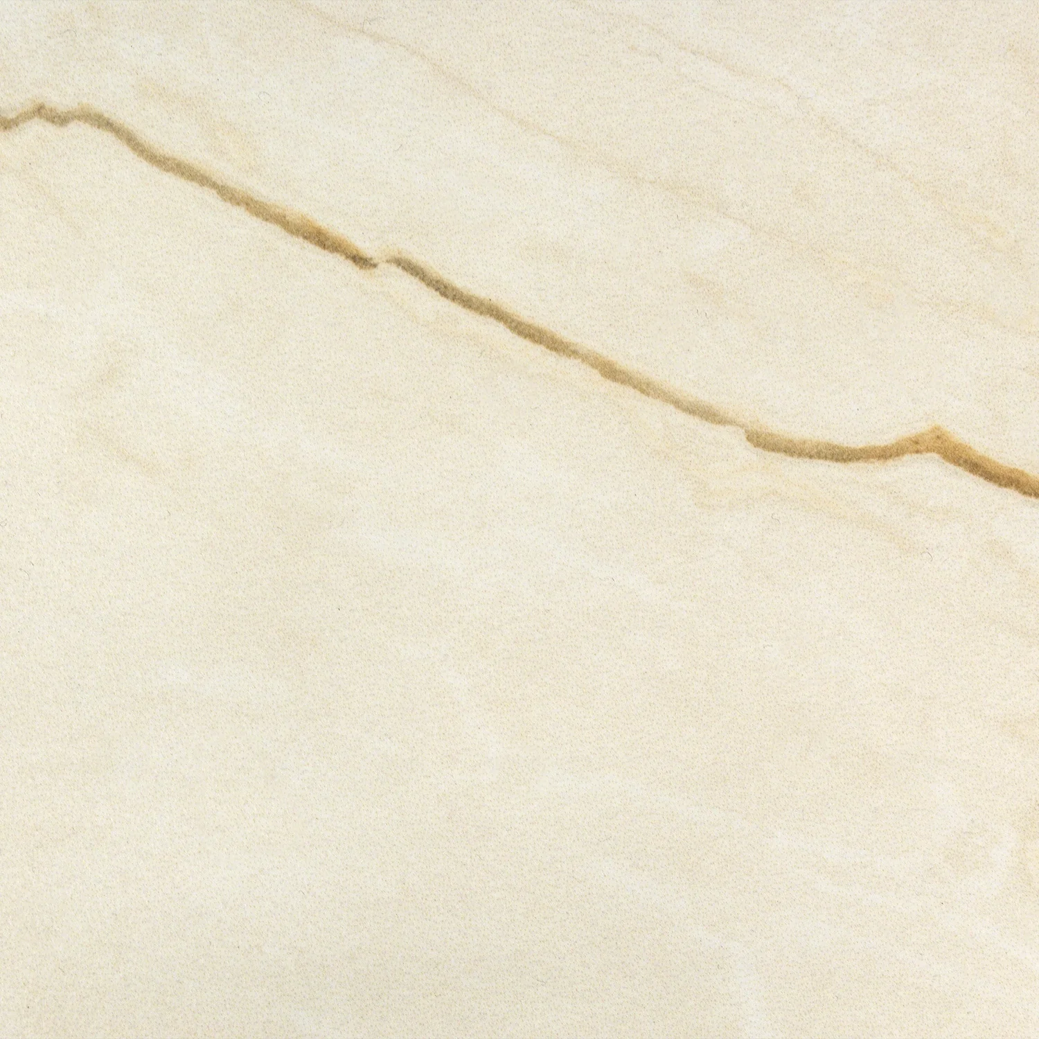 Lux Tile Crema Avorio Beige 12x24 Matte Porcelain Tile - Image 8