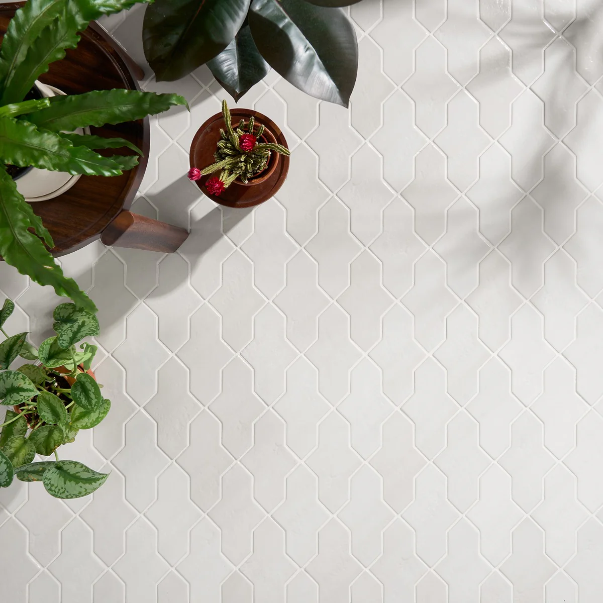 Lux Tile Parma Cruz White 5x8 Polished Porcelain Tile - Image 5