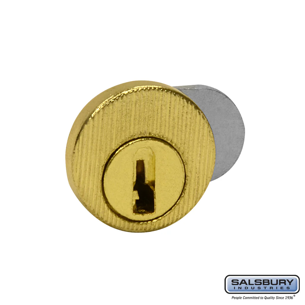 Master Lock for Front Loading Brass Mailbox with Two Keys