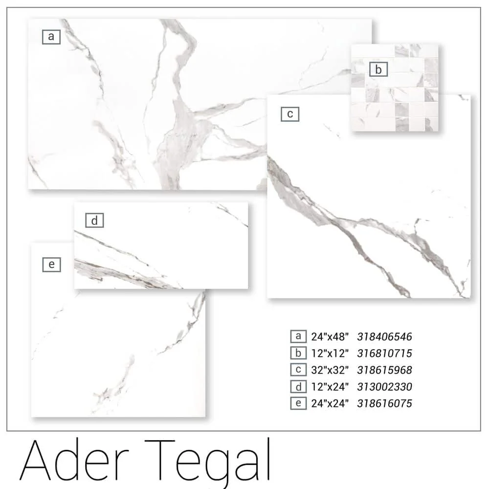 MSI Ader Tegal 24 in. x 48 in. Polished Porcelain Floor and Wall Tile (16 sq. ft./Case) - Image 3
