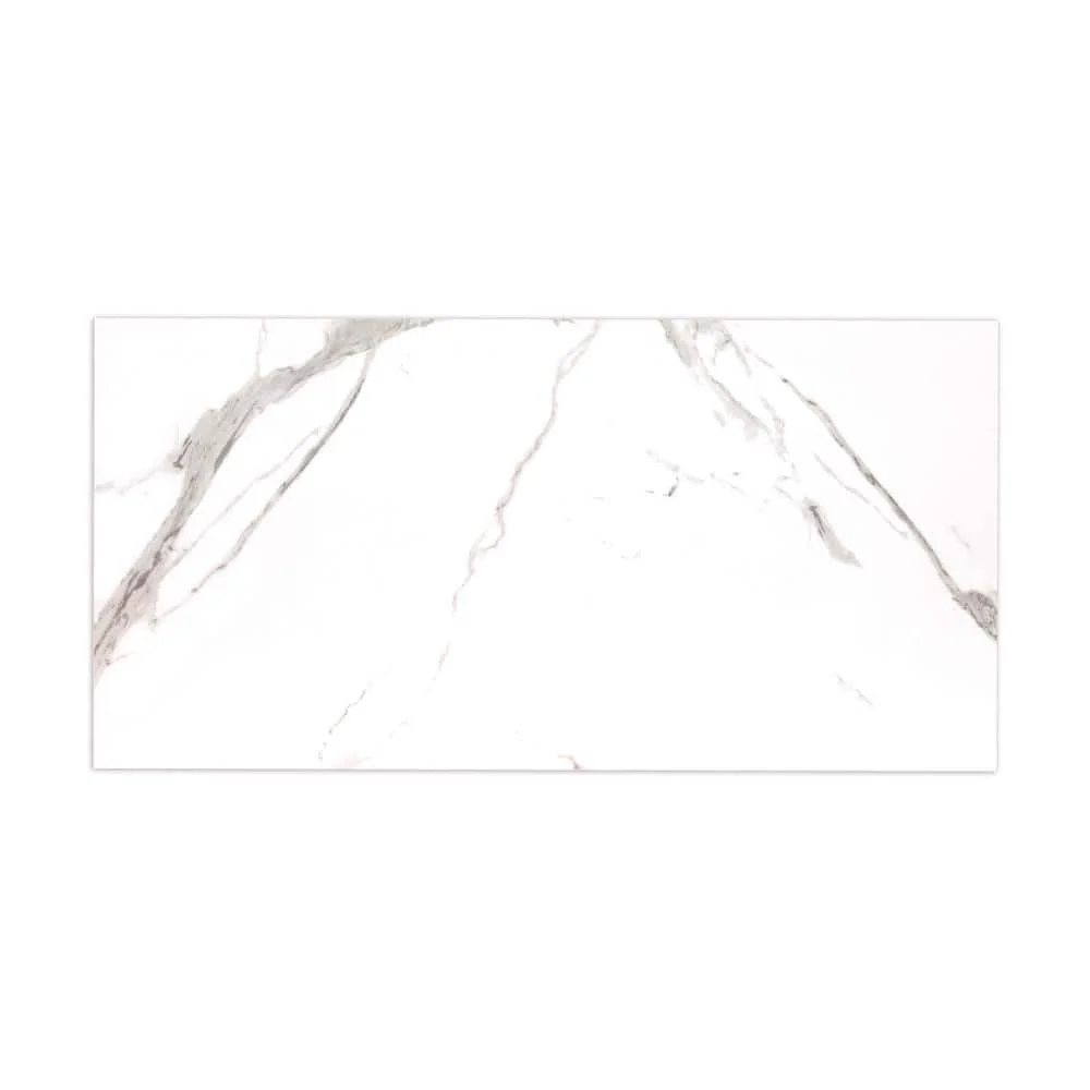 MSI Ader Tegal 24 in. x 48 in. Polished Porcelain Floor and Wall Tile (16 sq. ft./Case) - Image 7