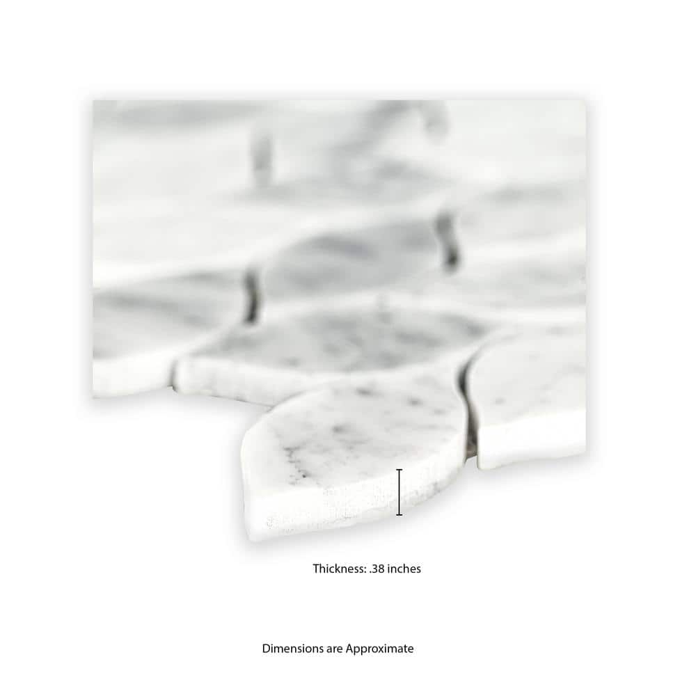 MSI Carrara White Blanco 12 in. x 13 in. Honed Marble Floor and Wall Tile (10.8 sq. ft./Case) - Image 7