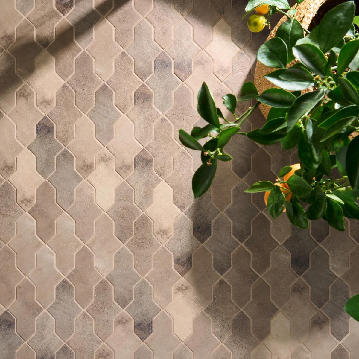 Parma Cruz Taupe Brown 5x8 Terracotta Look Matte Porcelain Tile - Image 5