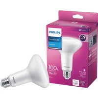 Philips 100-Watt Equivalent BR30 Dimmable LED Light Bulb, Daylight 5000K (1 Bulb)