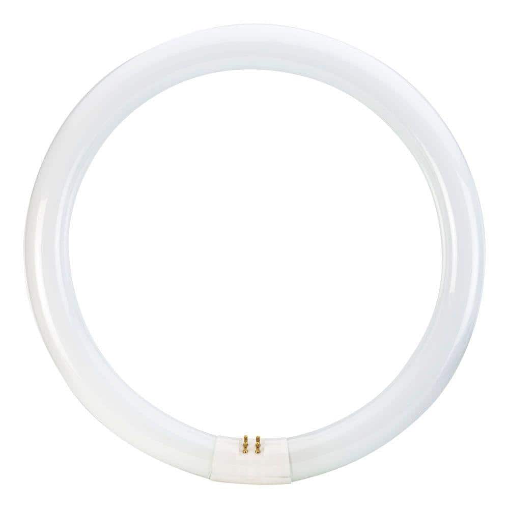 Philips 32-Watt 12 in. Linear T9 Fluorescent Tube Light Bulb, Cool White 4100K Circline - Image 3