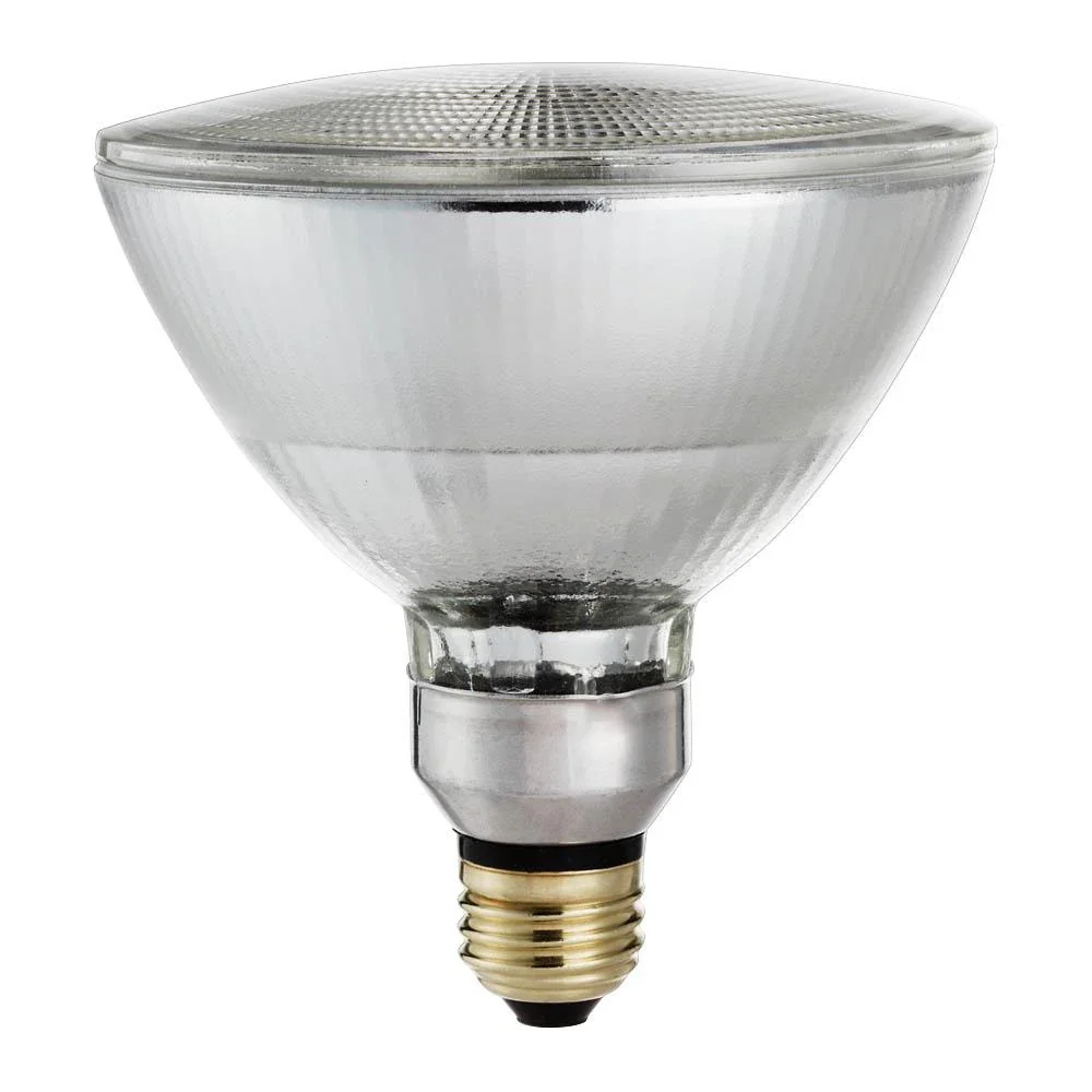 Philips 39-Watt Equivalent Halogen PAR38 Dimmable Indoor/Outdoor Floodlight Bulb