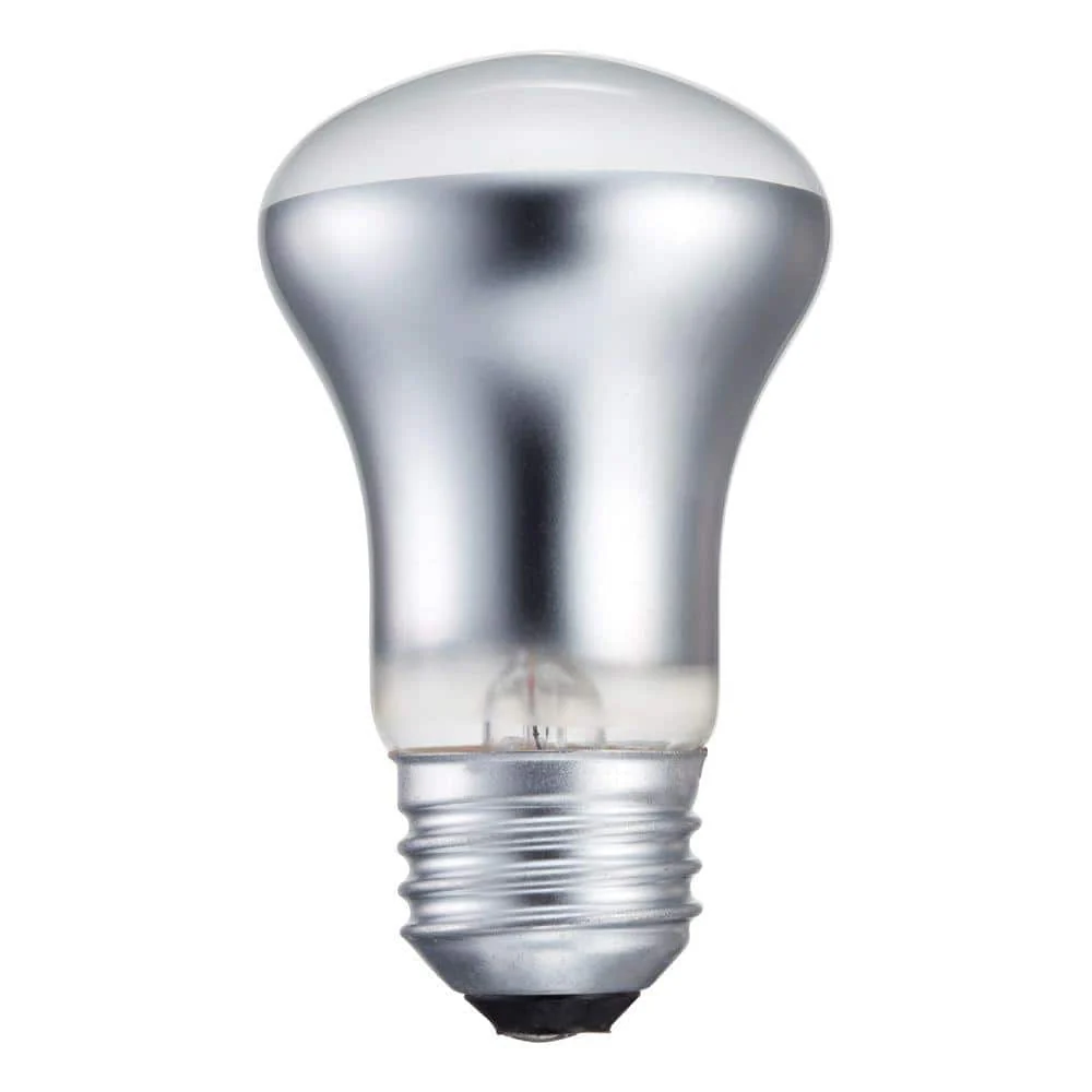 Philips 40-Watt R16 Incandescent Spot Light Bulb Soft White (2700K)