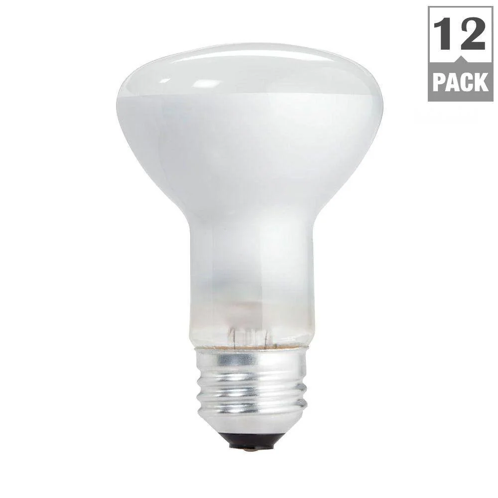 Philips 45-Watt PAR38 Incandescent Flood Light Bulb, Bright White 2800K, 12-Pack - Image 3