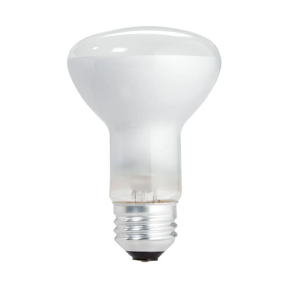 Philips 45-Watt PAR38 Incandescent Flood Light Bulb, Bright White 2800K, 12-Pack - Image 4