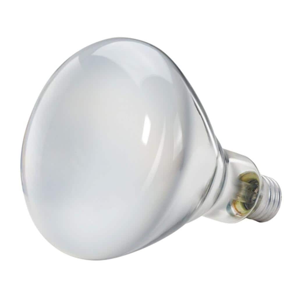 Philips 65-Watt BR40 Incandescent DuraMax Indoor Flood Light Bulb (2-Pack) - Image 4